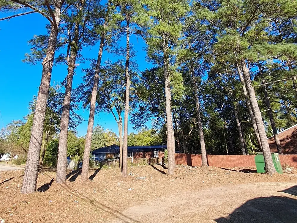 brush clearing after