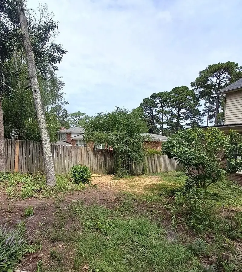 overhanging tree removal after